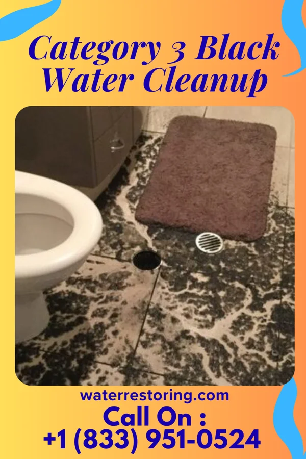 Category 3 Black Water Cleanup in Hidden Hills, CA