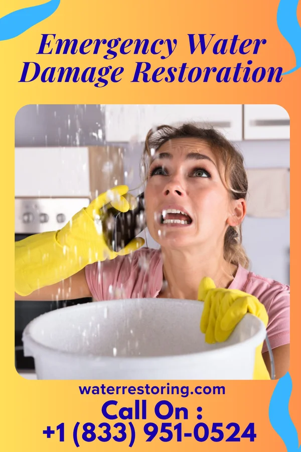 Emergency Water Damage Restoration in Hidden Hills, CA